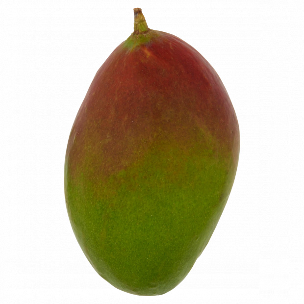 Mangó db