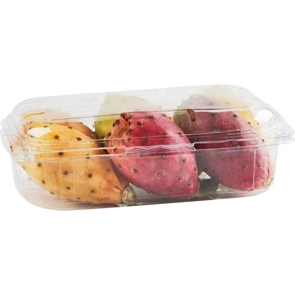 KAKTUSZFÜGE 500G