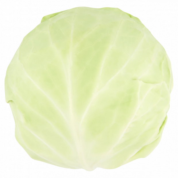 Új fejeskáposzta lédig