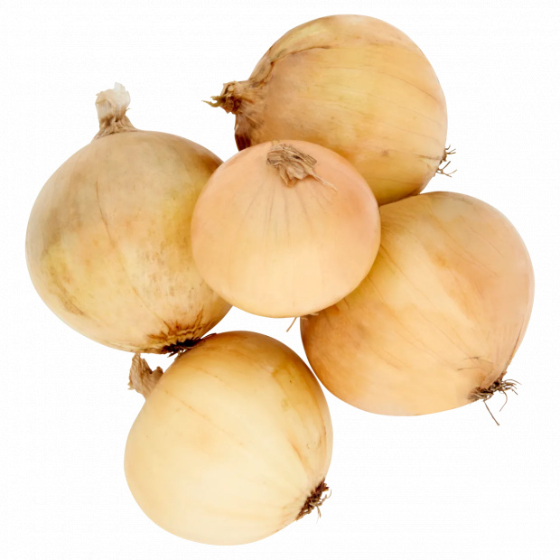 Vöröshagyma lédig