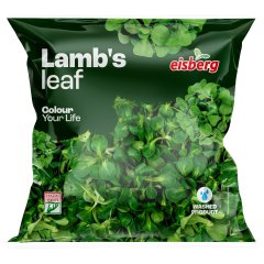 Eisberg friss madársaláta 80 g