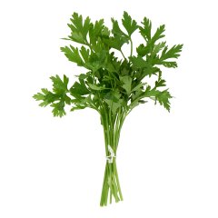 PETREZSELYEM ZÖLD CSOMÓ